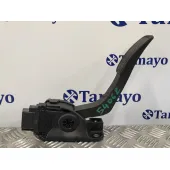 Pedal Acelerador para Ford Fiesta (Cb1)