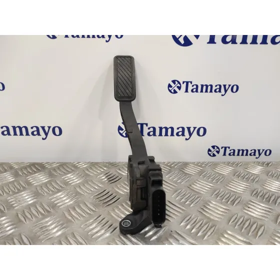 Pedal Acelerador para Ford Fiesta (Cb1)