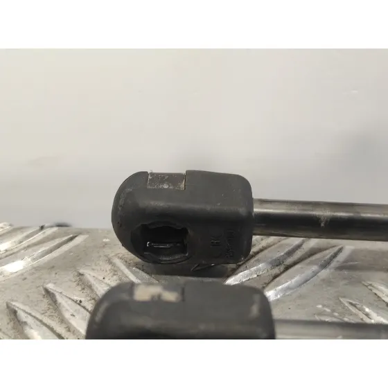 Amortiguadores Maletero / Porton para Ford Fiesta (Cb1)