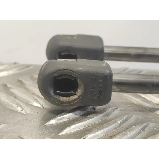 Amortiguadores Maletero / Porton para Ford Fiesta (Cb1)