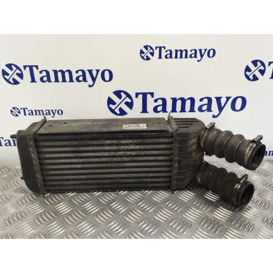 Intercooler para Peugeot 207
