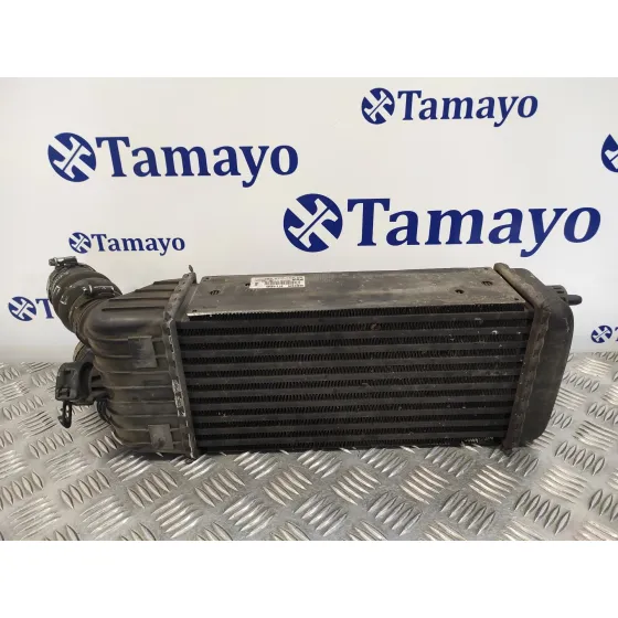Intercooler para Peugeot 207