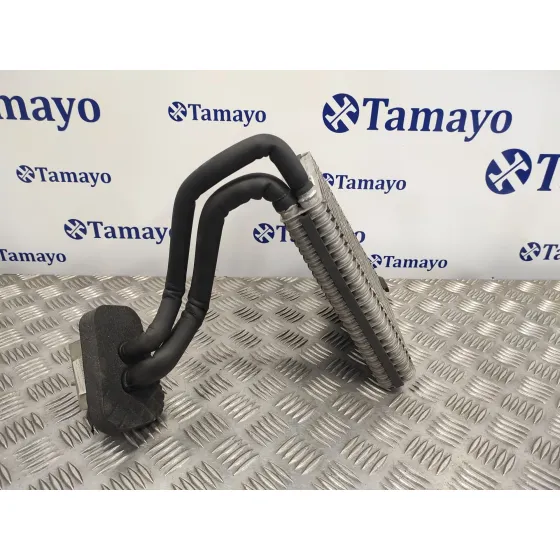 Evaporador Aire Acondicionado para Ford Fiesta (Cb1)