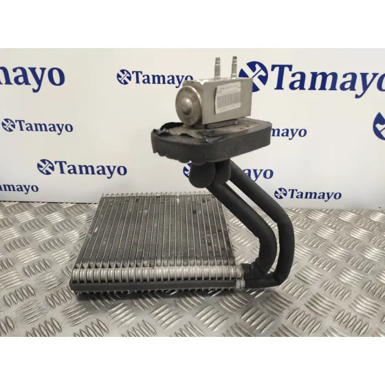 Evaporador Aire Acondicionado para Ford Fiesta (Cb1)