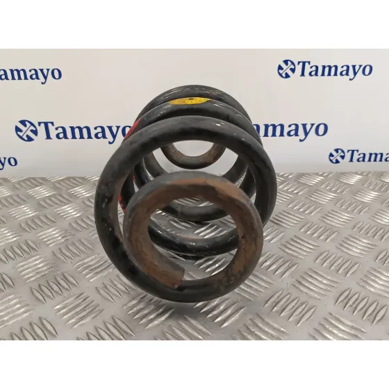 Muelle Amortiguacion para Opel Movano