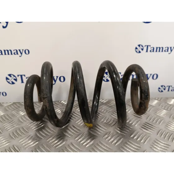 Muelle Amortiguacion para Opel Movano
