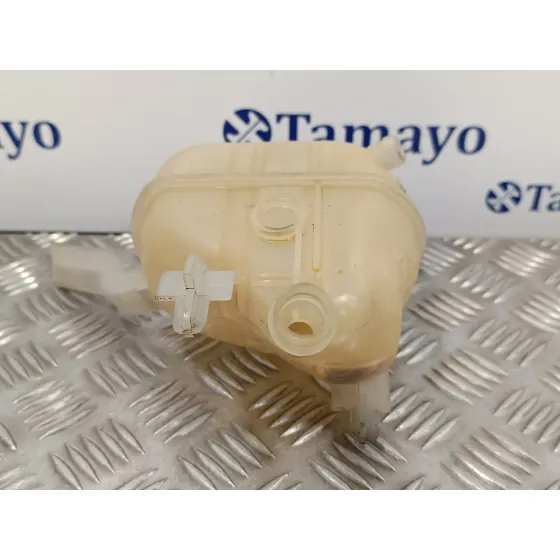 Deposito Expansion para Citroën C5 Iii (Rd_)