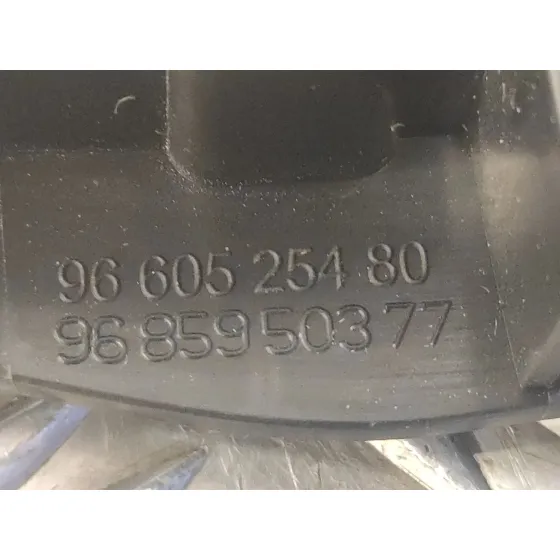 Maneta Interior Delantera Izquierda para Citroën C5 Iii (Rd_)