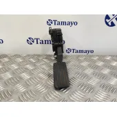 Potenciometro Pedal para Dacia Logan Express