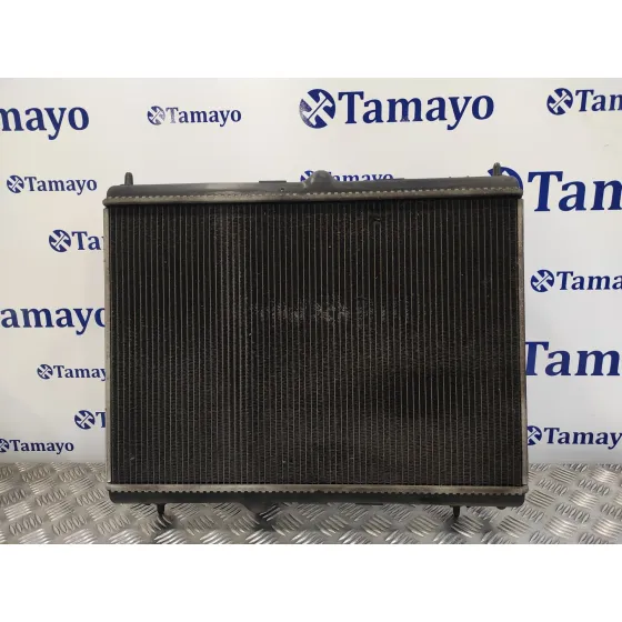 Radiador Agua para Citroën C5 Iii (Rd_)