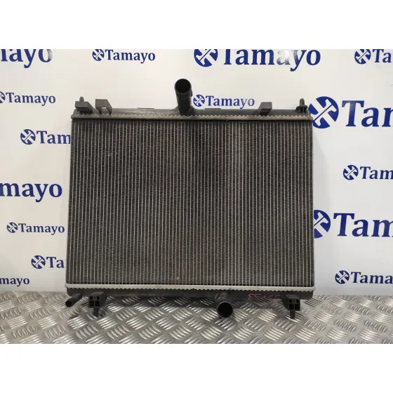 Radiador Agua para Citroën C5 Iii (Rd_)