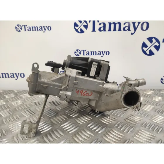 Valvula Egr para Peugeot Partner Kasten