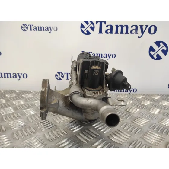 Valvula Egr para Peugeot Partner Kasten