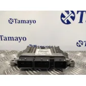 Centralita Motor Uce para Renault Megane Iii Berlina 5 P
