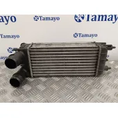 Intercooler para Citroën C5 Iii (Rd_)
