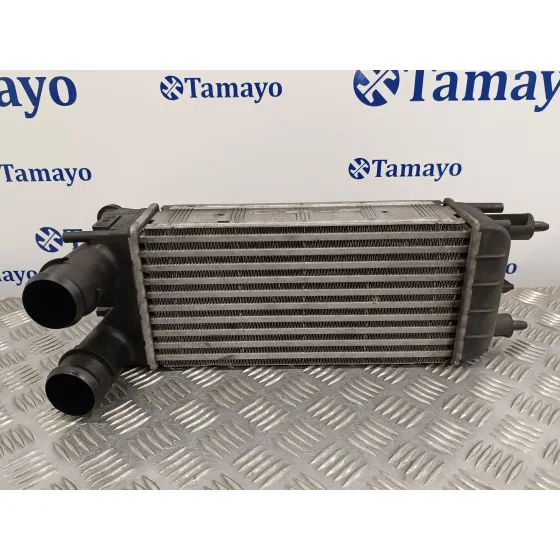 Intercooler para Citroën C5 Iii (Rd_)