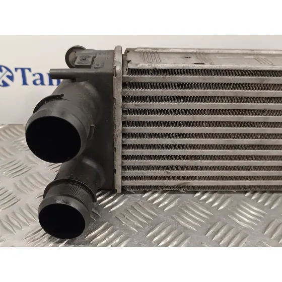 Intercooler para Citroën C5 Iii (Rd_)