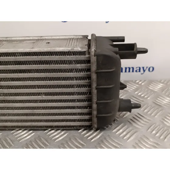 Intercooler para Citroën C5 Iii (Rd_)