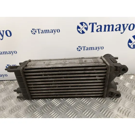 Intercooler para Citroën C5 Iii (Rd_)