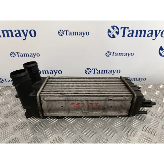 Intercooler para Citroën C5 Iii (Rd_)