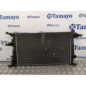 Radiador Agua para Renault Megane Iii Berlina 5 P