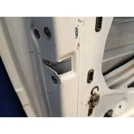 Puerta Delantera Izquierda para Audi A3 (8P)