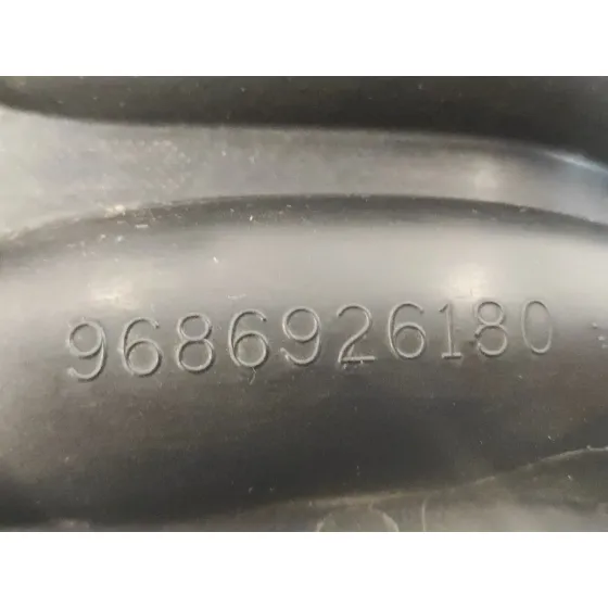 Colector Admision para Peugeot 207