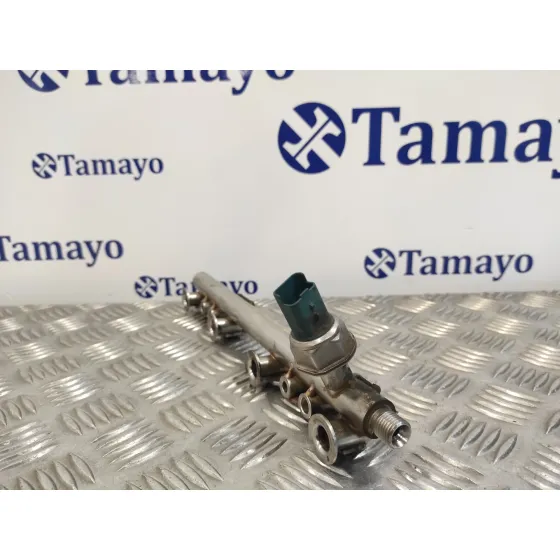 Rampa Inyectora para Dacia Lodgy