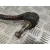 Brazo Suspension Inferior Delantero Derecho para Bmw X3 (E83)