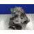 Caja Cambios para Ford Fusion (Cbk)