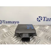 Modulo Electronico para Cupra Formentor