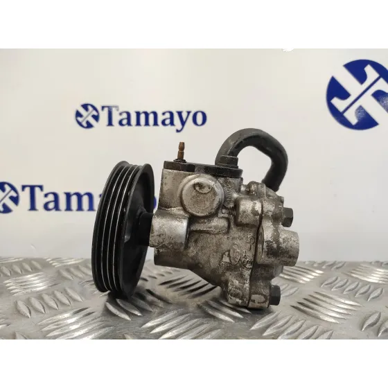 Bomba Direccion para Hyundai Getz (Tb)