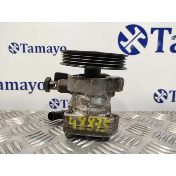 Bomba Direccion para Hyundai Getz (Tb)