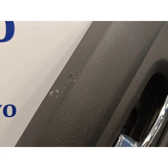 Guarnecido Puerta Trasera Izquierda para Nissan Micra V (K14)
