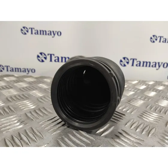 Tubo Presion Turbocompresor para Nissan Qashqai (J10)