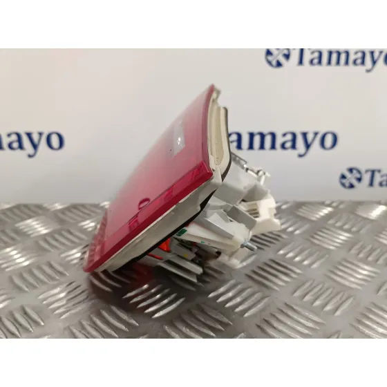 Piloto Trasero Izquierdo Porton para Bmw Serie 3 Touring (E91)