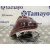 Piloto Trasero Derecho para Smart Fortwo Coupe