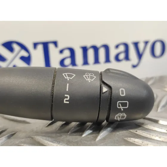 Mando Limpia para Renault Clio Ii Fase Ii (B/Cb0)
