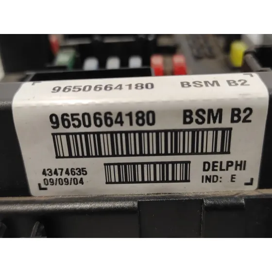 Caja Reles / Fusibles para Peugeot 307 Break / Sw (S1)