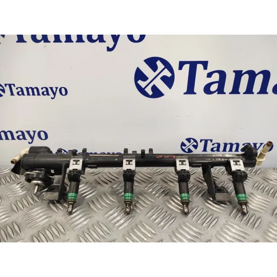 Rampa Inyectora para Ford Fusion (Cbk)