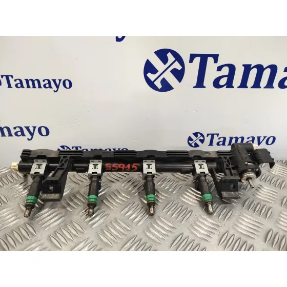 Rampa Inyectora para Ford Fusion (Cbk)