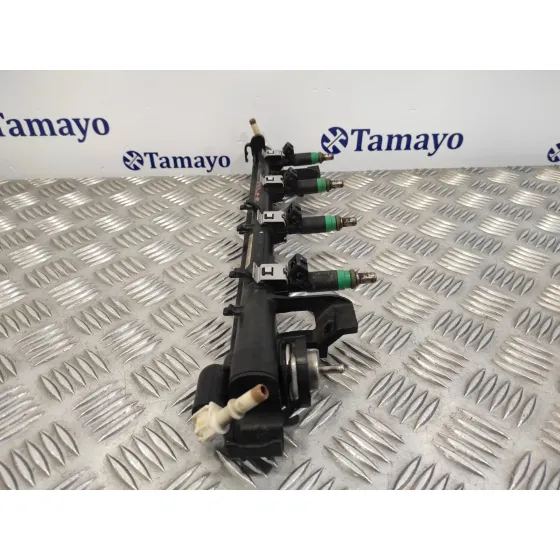 Rampa Inyectora para Ford Fusion (Cbk)