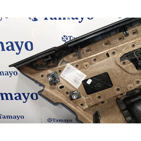 Guarnecido Puerta Trasera Derecha para Bmw Serie 5 Lim. (F10)
