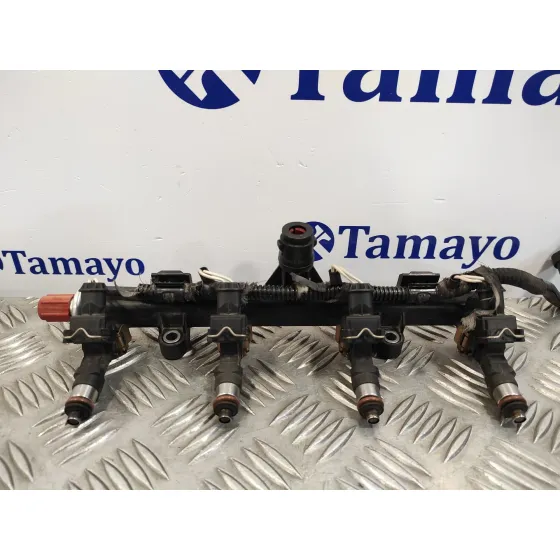 Rampa Inyectora para Fiat Doblo