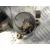 Bomba Inyeccion para Renault Megane Ii Classic Berlina