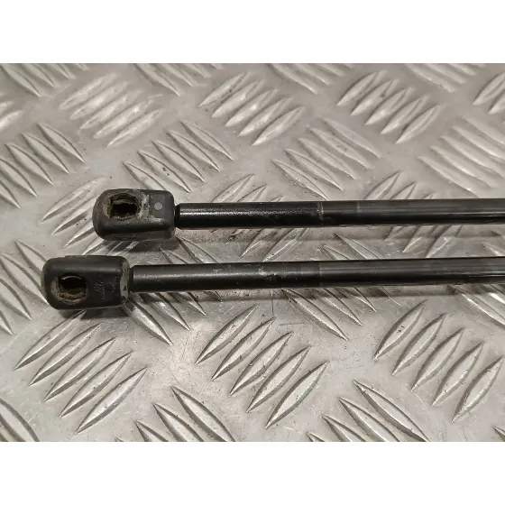 Amortiguadores Maletero / Porton para Mercedes-Benz Vito Tourer (447)