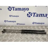 Amortiguadores Maletero / Porton para Volkswagen Polo (6R1)