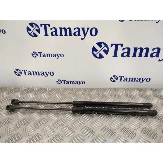 Amortiguadores Maletero / Porton para Volkswagen Polo (6R1)