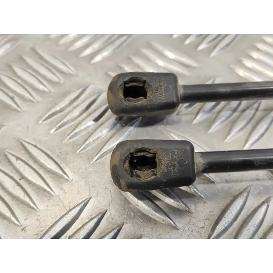 Amortiguadores Maletero / Porton para Volkswagen Polo (6R1)