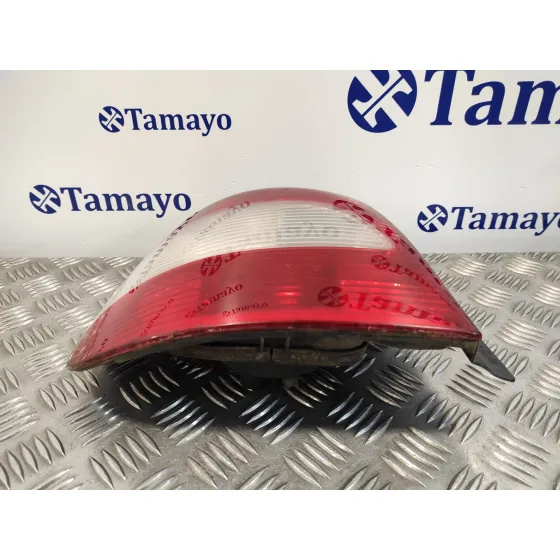 Piloto Trasero Izquierdo para Renault Scenic Rx4 (Ja0)